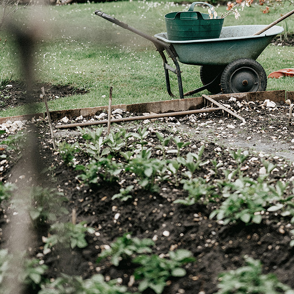 Allotment Security