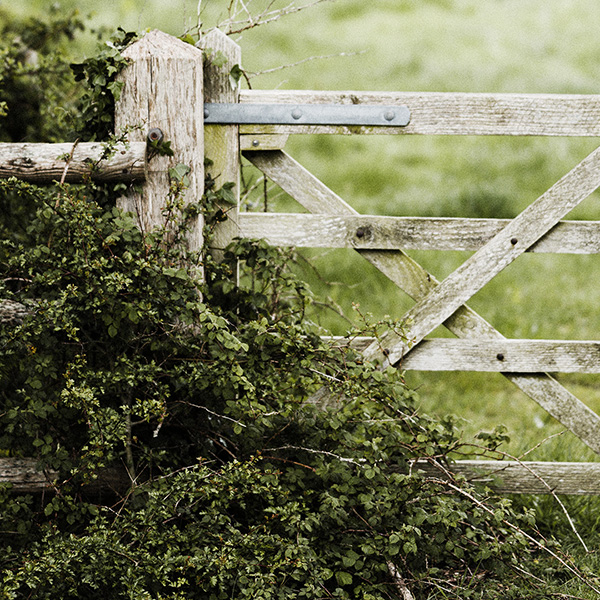 Gate Monitoring