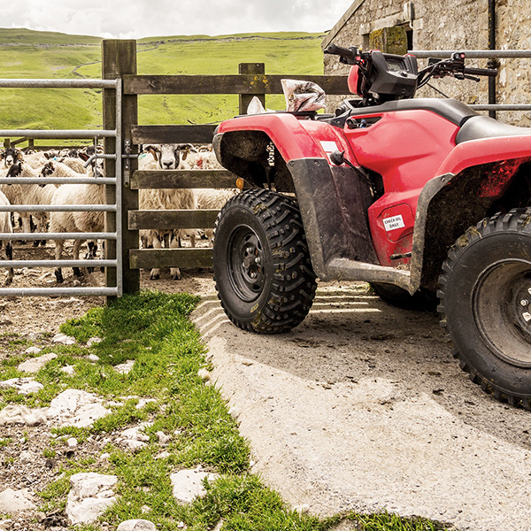 Rural Crime